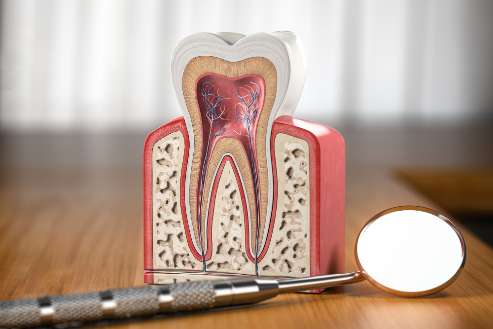Root Canals Germantown, MD , Manassas, VA